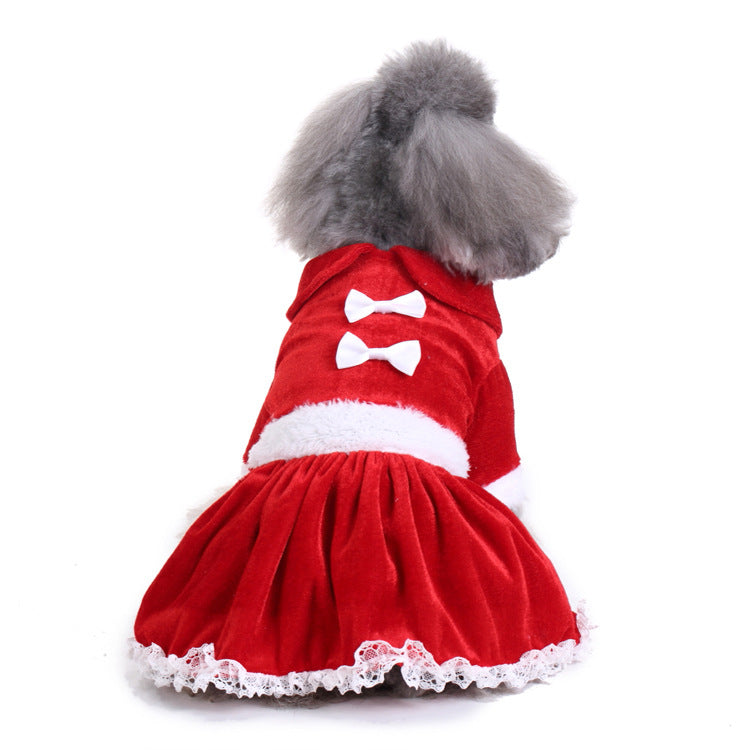 Christmas Dog Walking Outfit