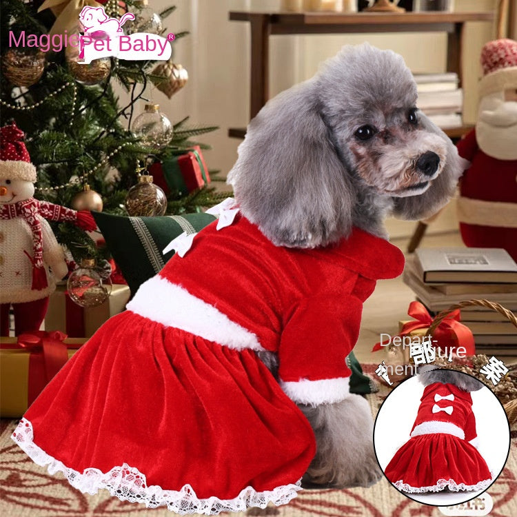 Christmas Dog Walking Outfit