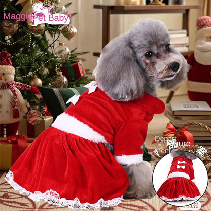 Christmas Dog Walking Outfit